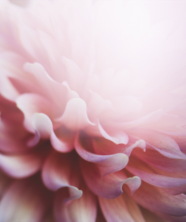 somayoung-adolescenti-movimento-consapevole